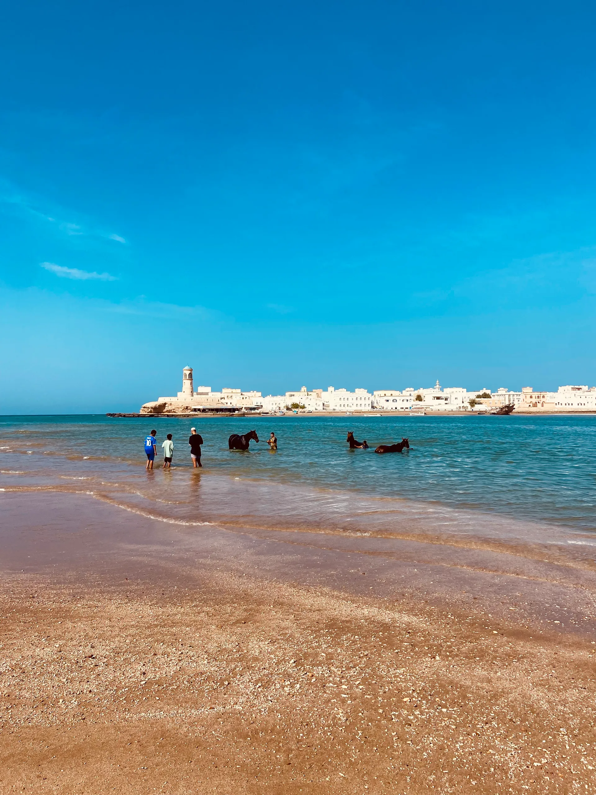 Caballos en la orilla de una playa de Omán, con un pueblo blanco y un faro al fondo